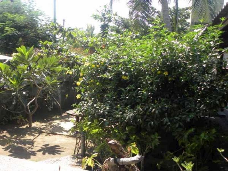 Malino Homestay Gili Trawangan Luaran gambar